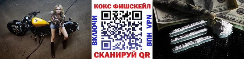 Cocaine FishScale  где купить   Вятские Поляны 