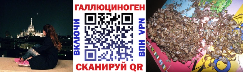Псилоцибиновые грибы прущие грибы  Вятские Поляны 