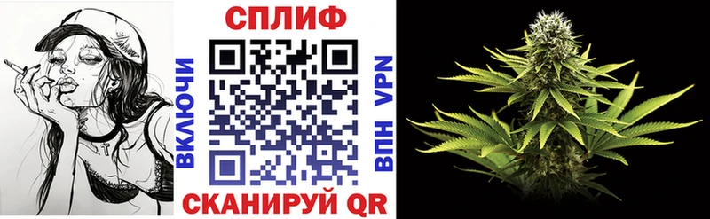 площадка наркотические препараты  магазин продажи наркотиков  Вятские Поляны  Каннабис AK-47 